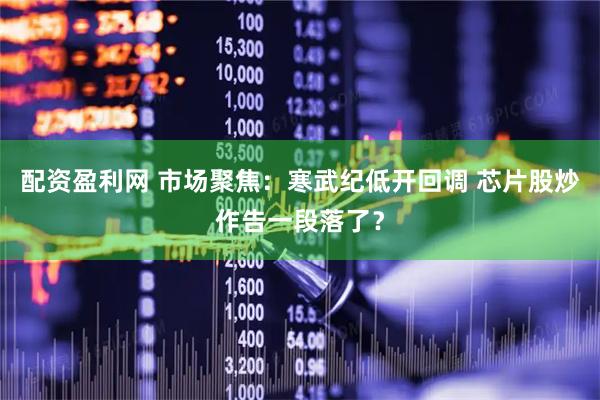 配资盈利网 市场聚焦：寒武纪低开回调 芯片股炒作告一段落了？
